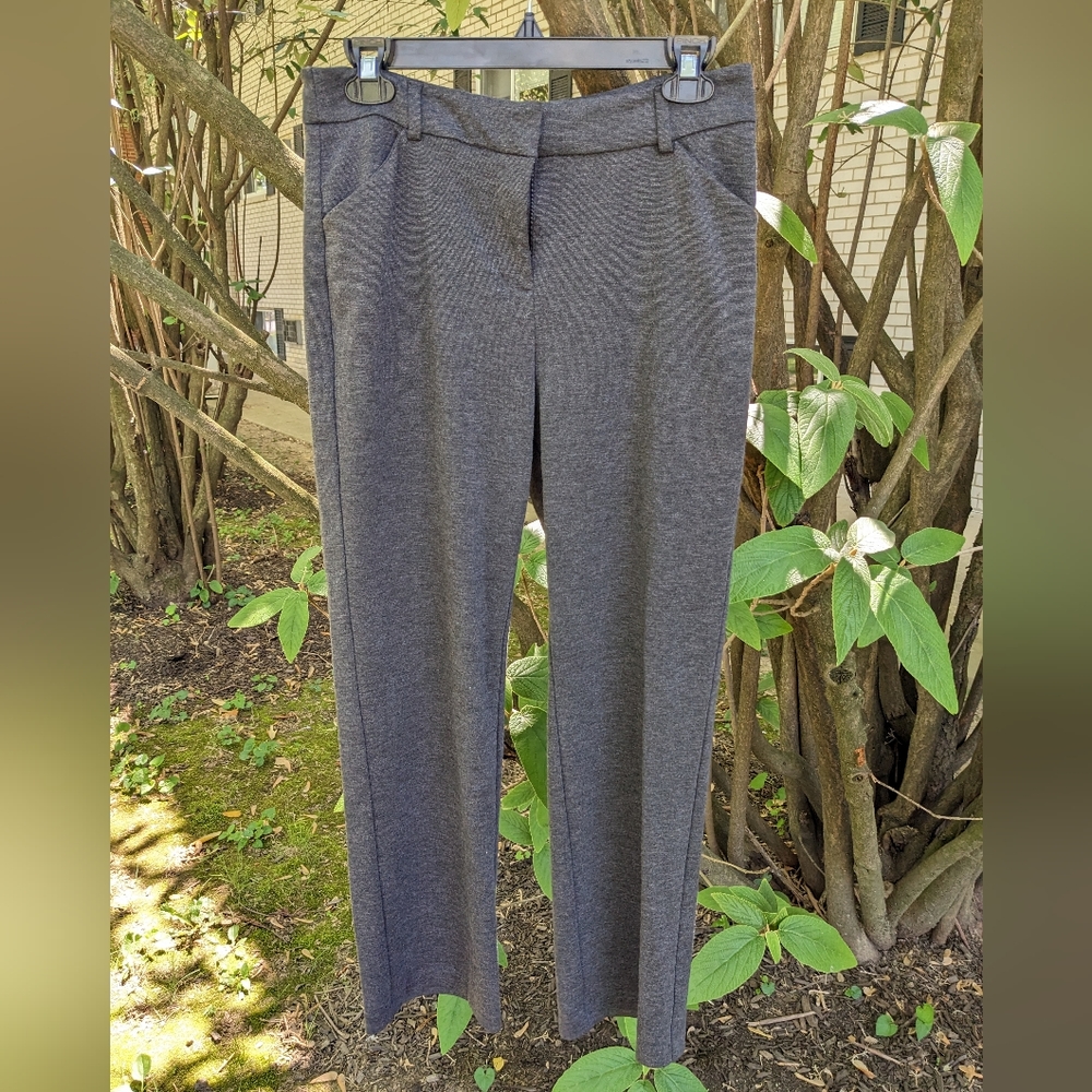 Dana Buchman Dress Pant
